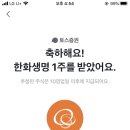 머리에서발끝까지 이미지