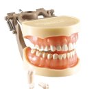 한일 soft 이미지