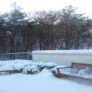 반송동168 이미지