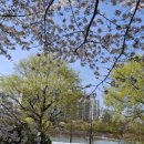 양산호수공원 이미지