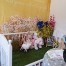 멍멍's 패밀리 이미지