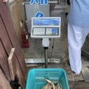 삼양타워2차 | [동해] 묵호 대게 맛집 추천 ‘착한대게’ 가격정보 내돈내산 후기