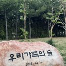 우리숲 | 마포구 ＤＭＣ 우리가족의 숲 방문 후기 (경의선 선형의 숲)