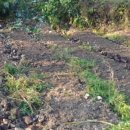 홍산농약 이미지