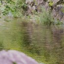 포천 자연과사람들 애견동반펜션 | 포천펜션 포천 자연과사람들 애견동반펜션 자연 속 애견 펜션