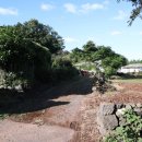 원당청정목장 이미지