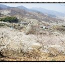중부-충무-중부-3314 | 봄의 여행지