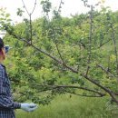 김충현농장 이미지