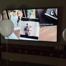 디올 레이디백 선물 및 호텔 그랜드하얏트 제주 그랜드 스위트 킹 숙박 및 조식, 수영장 내돈내산 후기