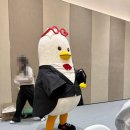 멤버스 | [ 2026 부산시 뉴미디어 멤버스 발대식 후기 | 부산시청 행사]