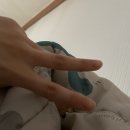 공룡코딱지노래연습장 이미지