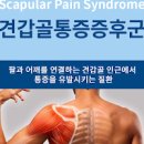 견갑골 통증 증후군, 오른쪽 왼쪽 날개뼈 통증 (목 등 근육 어깨결림) 이미지