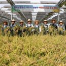 세종1호 태양광발전소 이미지