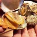 민들레 포차 이미지