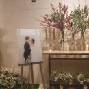 아주미용상사 | 봄에 피어나는 에너지를 환산할 수 있다면