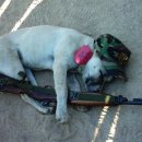 쉬어갑시다 이미지