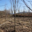 동녁농장 이미지