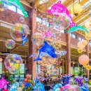 Cafe Forest (카페 포레스트) 이미지