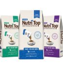 펫더데이 이미지