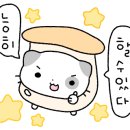 어거스트88