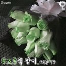 이벤트데이 이미지