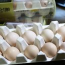 응암농장 이미지