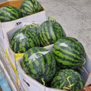 대산청과 이미지