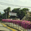 선바위메밀장터(주) | 과천 막국수 맛집은 없는것인가? 과천맛집 인줄 알았던 선바위 메밀장터 과천점 솔직후기