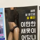 오늘핏 이미지
