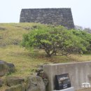 조천연대 이미지