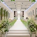 (주)라온투어 이미지