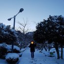 유달산빵 이미지