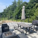 나무들의 수다 이미지