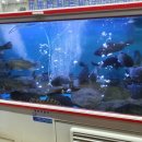 남구-061 이미지