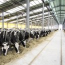 대광농장2 이미지