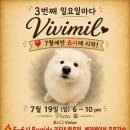 ♥️ 7월 19일(SUN) 비비밀(AM)밀롱가 + 바리다 1시간 무료강습🎁😲👍 이미지