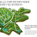 자유컨트리클럽 이미지