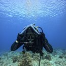 칸토쌀국수 | 7/18] 혼자 사이판 4박5일 다이빙 투어 먹방 여행 -1. 호텔아메리카노/셜리스카페/포땀/칸토10/기념품 쇼핑