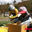 횡성단위농협 이미지