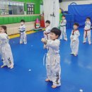 우리아이 NO.1 태권도장 | 아이 운동이 두뇌 발달에 미치는 영향 - 부천 중동 경희대 박사 현대 태권도장