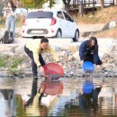 토종축산 이미지