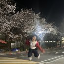 조양숯불갈비 이미지