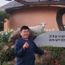 꿈의정원 펜션 이미지