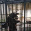 전주동물원 이미지