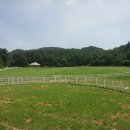 현준목장 이미지