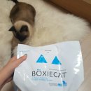 [육묘용품] 고양이 모래. 벅시캣. 박시캣. Boxiecat. 매우 만족. .