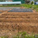 가야농약종묘사 이미지