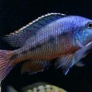 임프레스 이미지