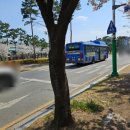 신흥제일약국 이미지