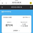 펫살롱 스위트하우스 | 강릉 애견동반 호텔 세인트존스호텔 펫트윈룸 솔직후기 (주차,애견동반 식당)